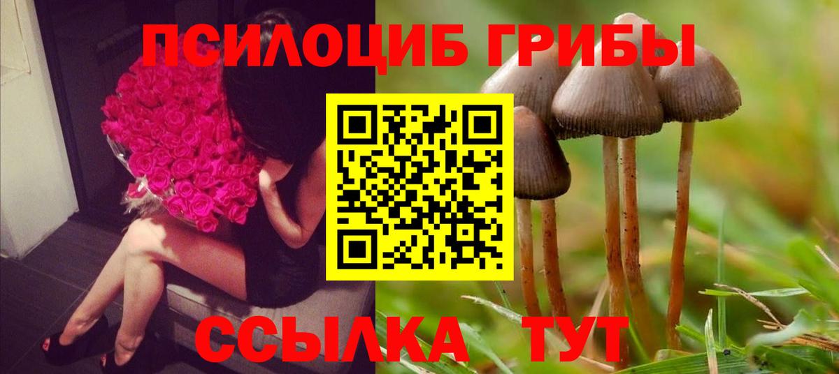 Галлюциногенные грибы мухоморы  купить наркоту  Карпинск  Псилоцибиновые грибы MAGIC MUSHROOMS  Вход с VPN 